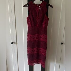 Erin by Erin Fetherston Lace Dress size 4